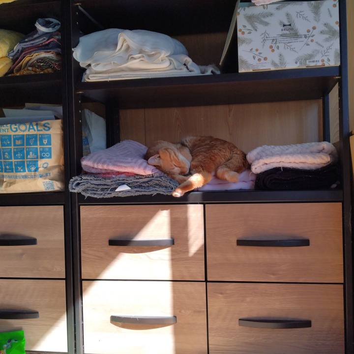 72e70b0f e774 4a7b b88d 2ea0806ae895 1697259943616