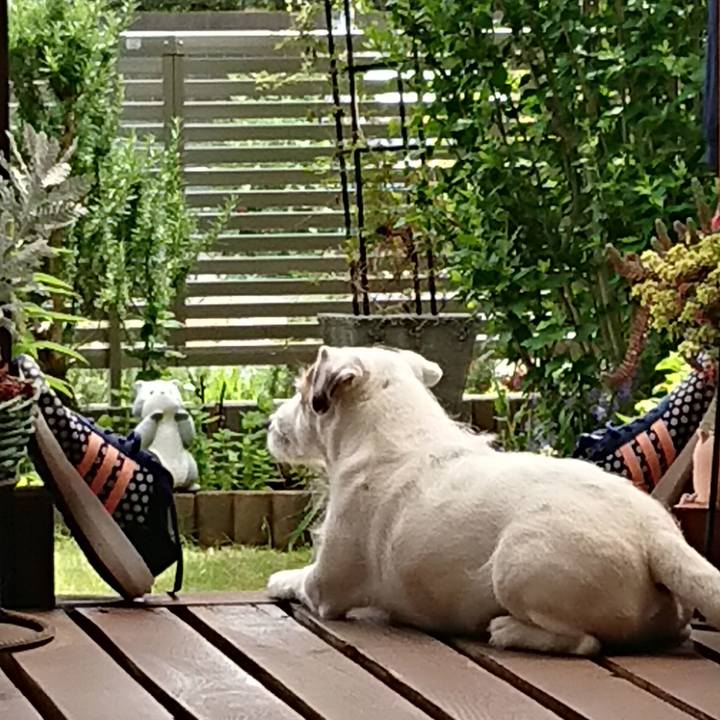 72e73f26 25a6 4b20 810c ce7a998ada43 1530920288054