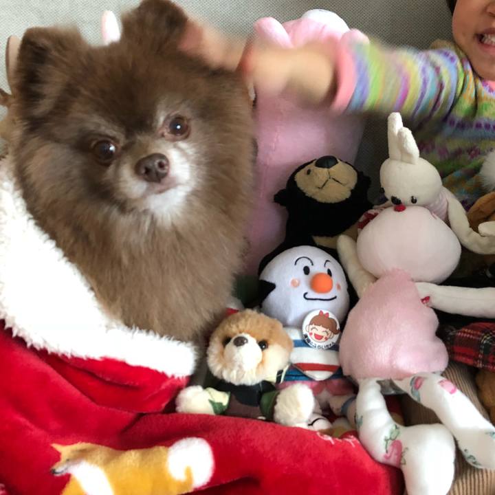 72e741df c077 4b8b 909d c77b7e5e5dd7 1547335892273