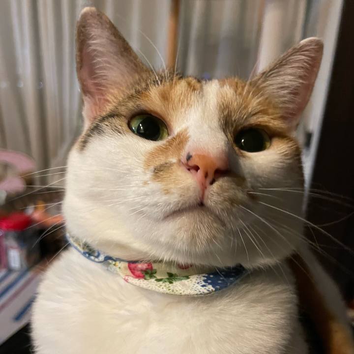 72e7555f edea 4bca 90ac ddcd4c7c78b0 1693649338419