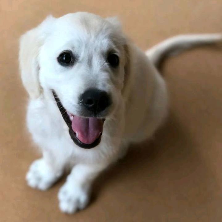 72e759f3 b191 4131 8e96 0c3059d279cf 1537012166651