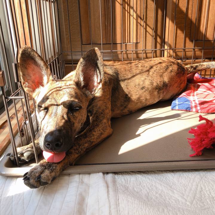 72e75ad3 97b8 4a56 8505 1ea62018903c 1573186570005