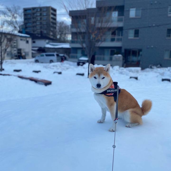 72e79dbb 2d04 45e2 bd82 955869c1d2a4 1672025541886