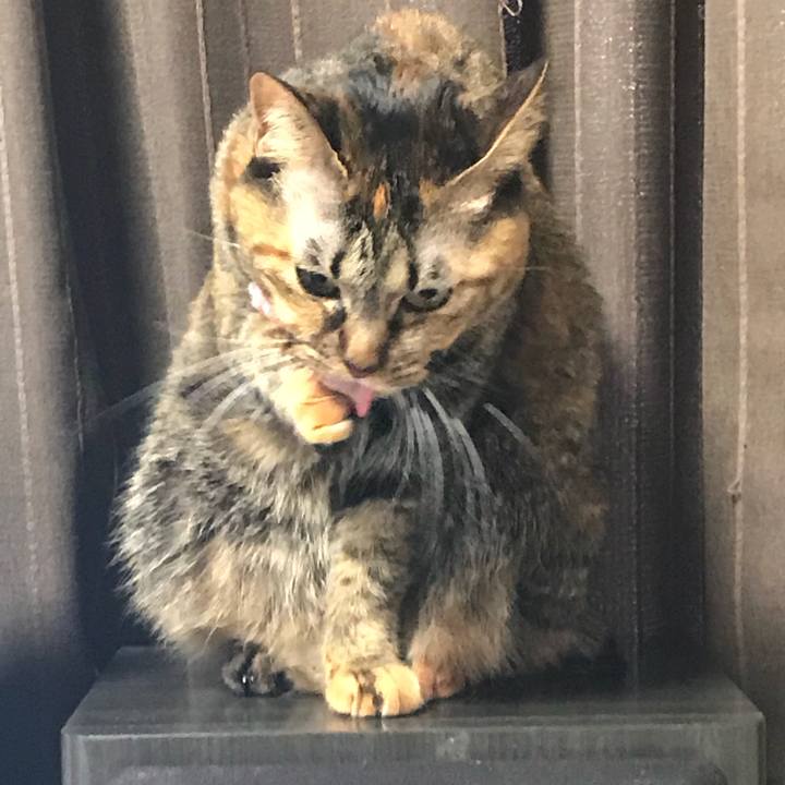 72e7c48c 7c59 48d5 ac49 26388471f80c 1515969860243