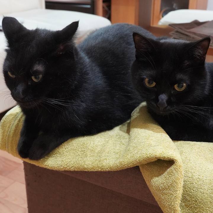 72e7cf2b 6d1d 4553 8b0f f9101fbf3ef0 1597881861546