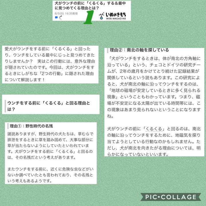 72e81570 f1a9 4ee5 877a fb438b4fd743 1533539756943