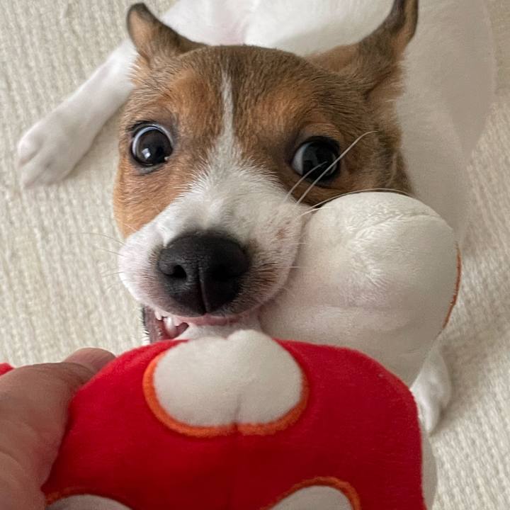 72e850d9 0d63 4888 875e 3490737d7ddc 1668081123136