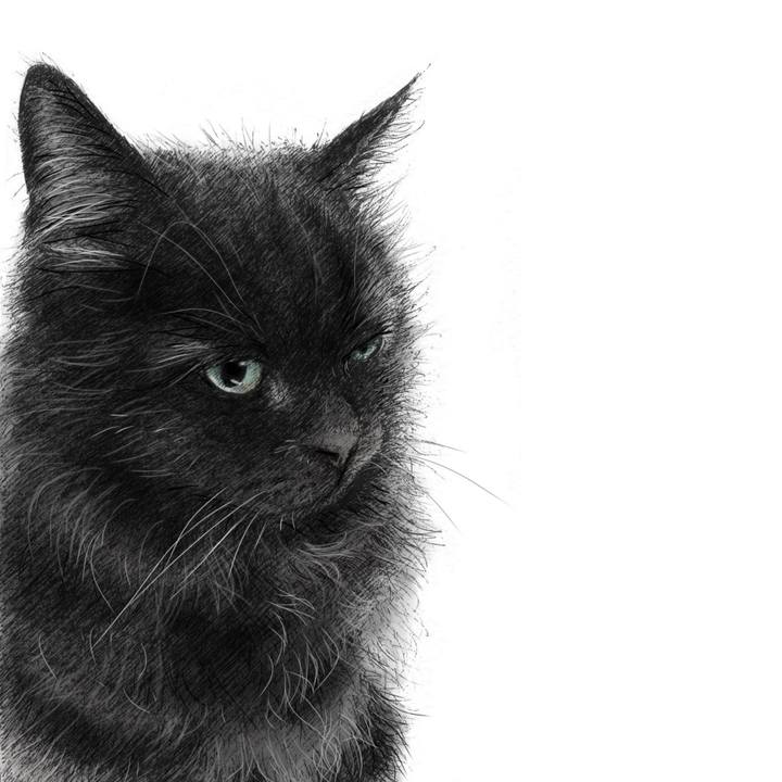 72e8e585 87b3 4bbe b51c 95aa073ba21a 1580913525890