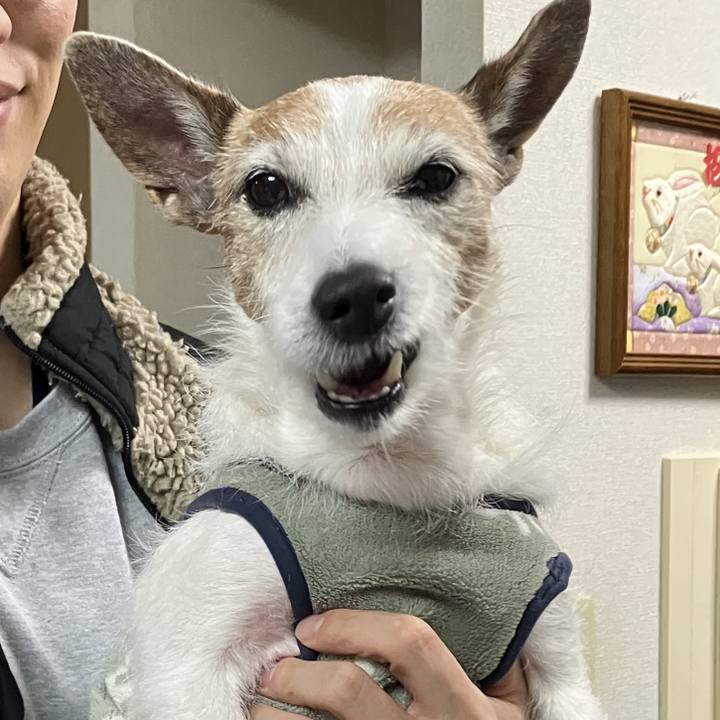 72e8ee62 ce19 4fd0 a7ae 4e04a56cf816 1734650583986