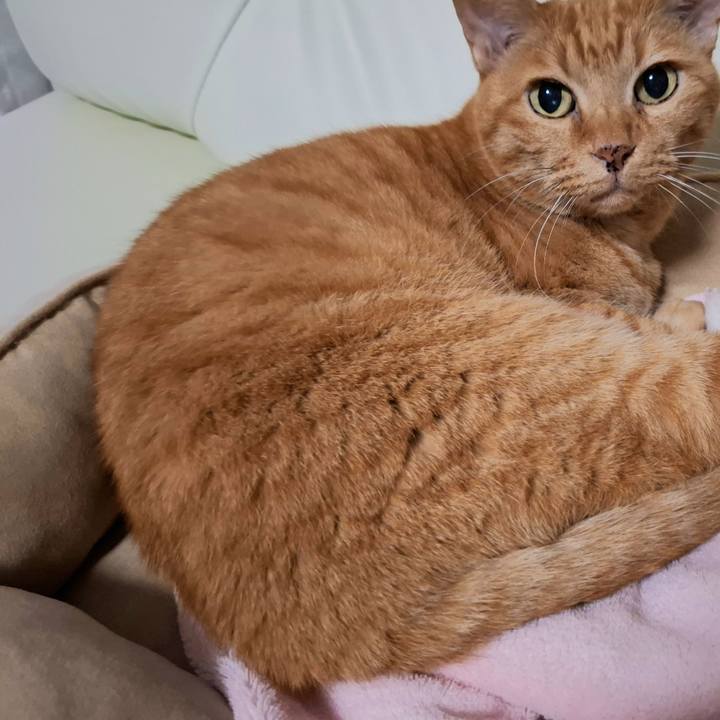 72e8f0ce 95aa 4494 9089 e6ac909cf6c1 1730089422647