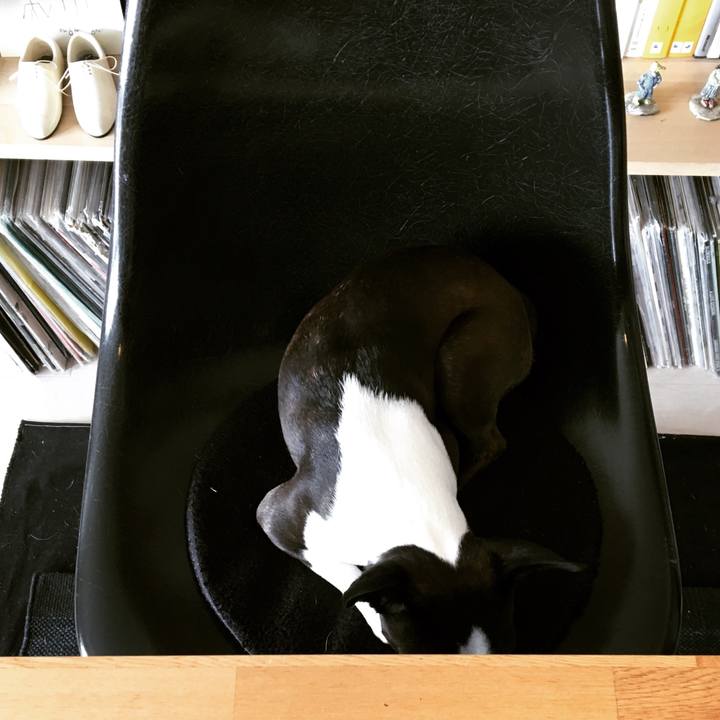 72e8f6b4 e9c0 45a7 be8e 370125143af2 1522663440630