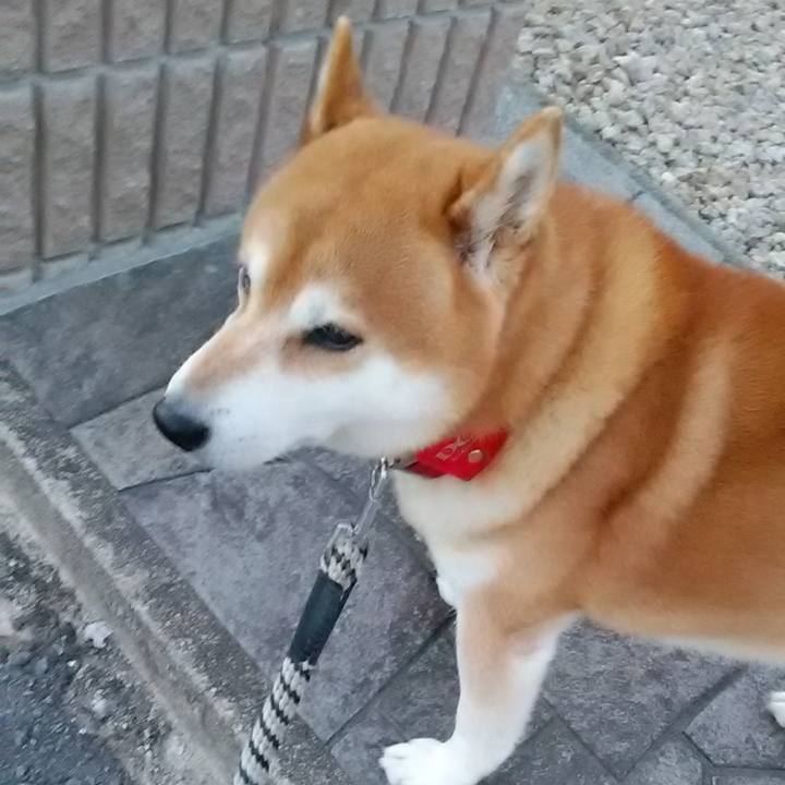 72e90c19 ca4f 4bd7 9c06 b62a50c4f3be 1666259352458