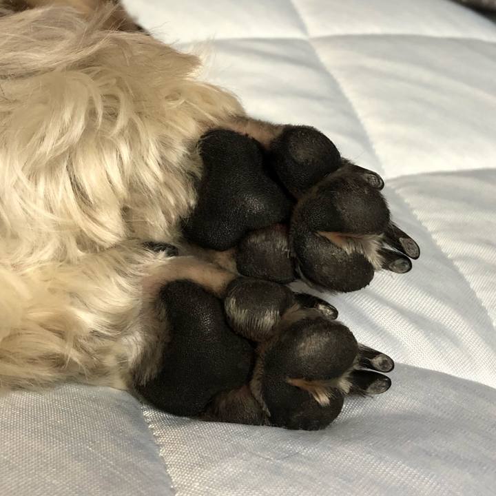 72e927c4 4546 4ae5 bd4e 9f9e53f8f69d 1623847808636