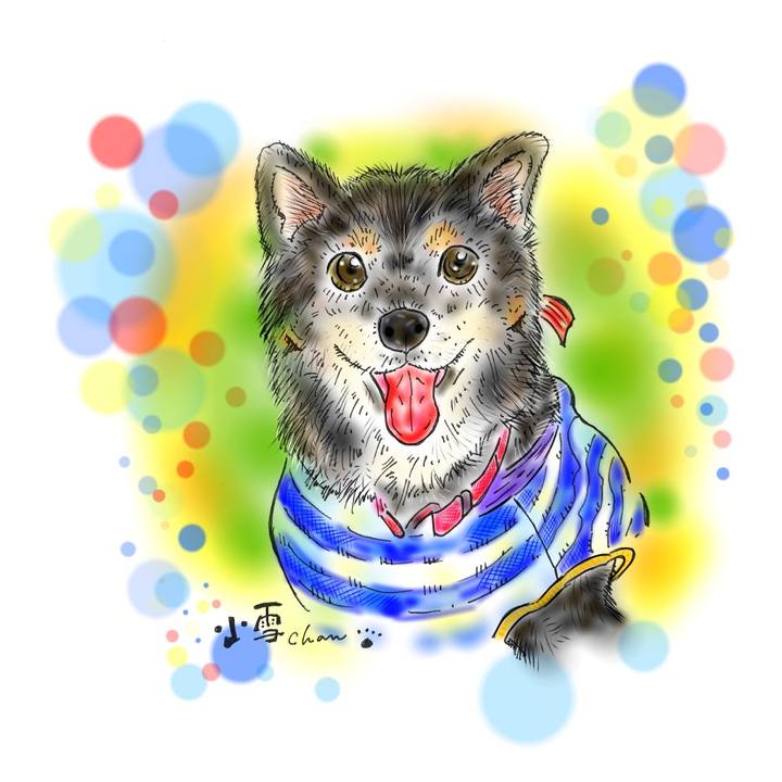 72e95b8b 7c6e 4002 a4f8 e757896485d4 1593093706538