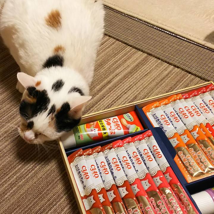 72e96380 051a 4b3a a762 78697eab2a35 1544536478323