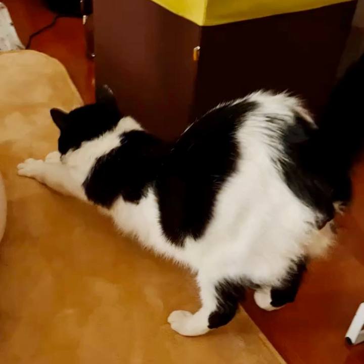 72ea0f3c 9d46 4d3f 9552 89833d477b7c 1649675290620