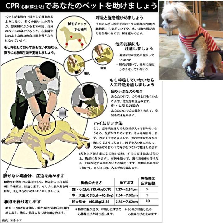 72ea1316 ae2b 4509 9b57 9999314cef50 1521720023225