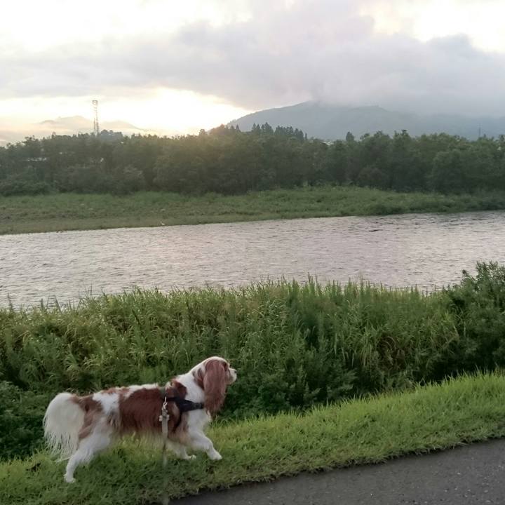 72ea2909 60a7 4923 b91c 39a757704f5d 1537220374989