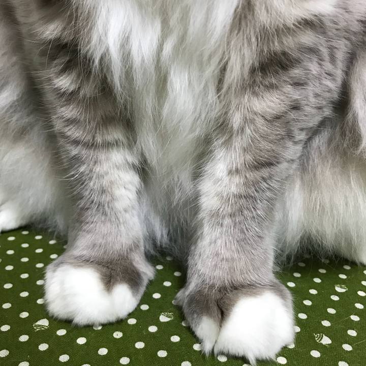 72ea57bf 262e 4bb9 ab57 83399fa2165c 1510063891891