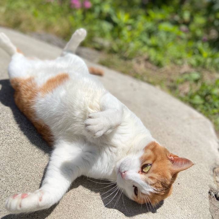 72ea97cc 30ef 4a24 b903 566722f9ab44 1685936604737