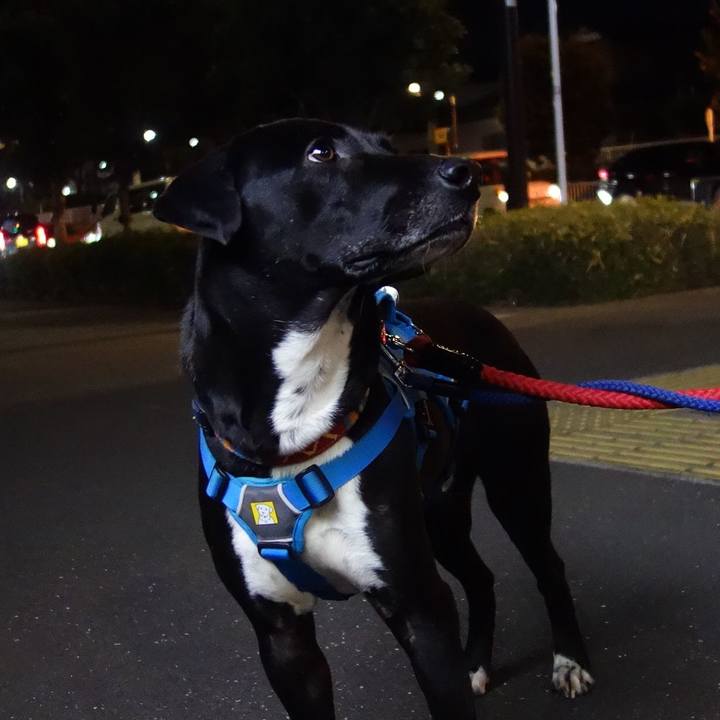 72eaa9ab 75a1 48da 8ba9 942f8dcc9875 1611916984118