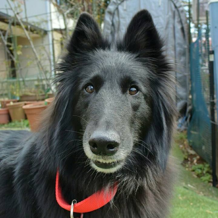 72eabc01 15f7 40a7 a445 6b3551b4f08c 1520582802738