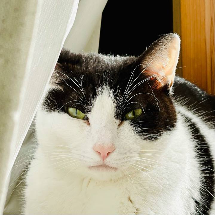 72eae420 9c0e 43fc bad0 4d92c89c583f 1617070379004