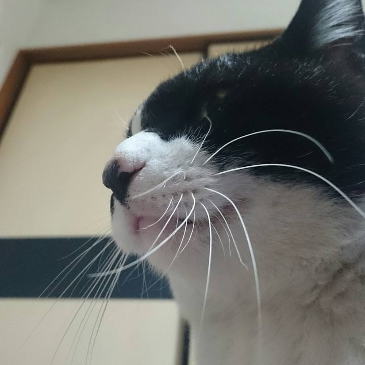 72eb5fdd f274 4ef2 8c76 15f97ec8b8c7 1514382295828