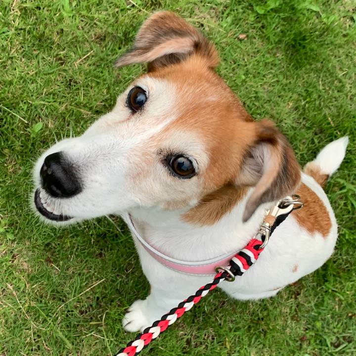 72eb7025 8cdd 42b2 9a7a 8d0a7547f30c 1602682997553