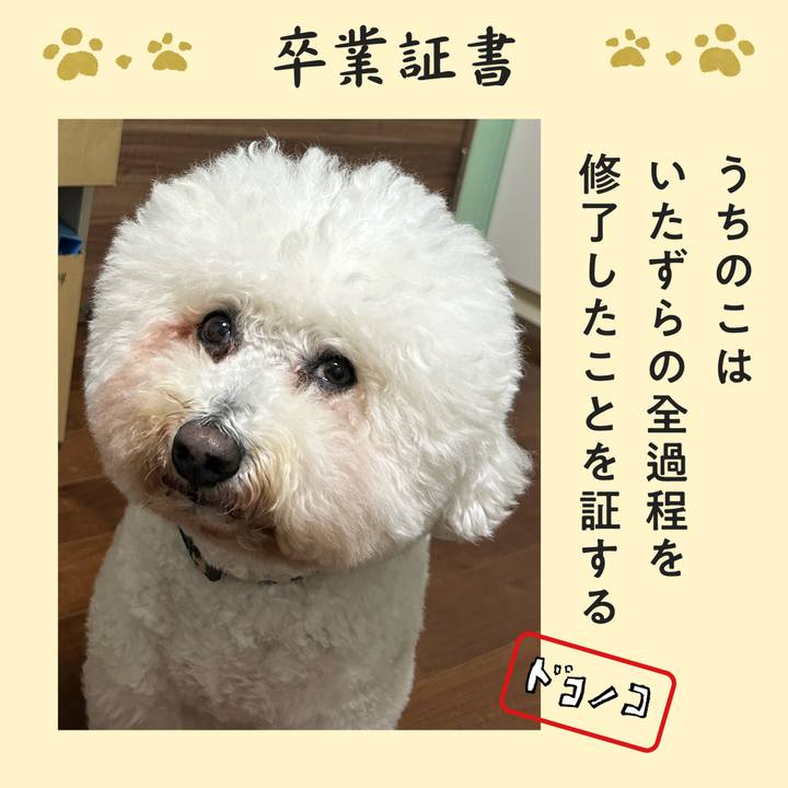 72eb7a86 8cb9 4eb2 8b62 8bf8d6daab6c 1771832026869