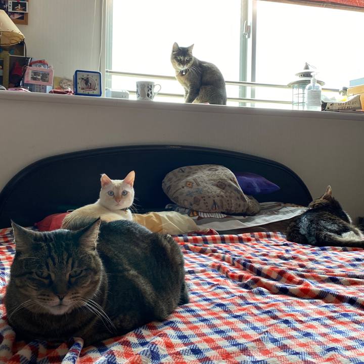 72eb9ad0 8fb6 4f65 8d60 56405b2b4bc5 1635044145037