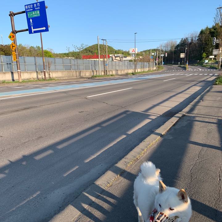 72ebf7e3 32e1 4014 9cef 70422e9b9907 1557733983229