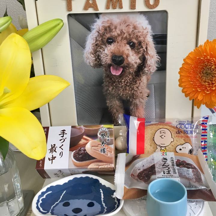 72ec17fc 0d4b 4474 9d9d 0015fb859638 1628662635156