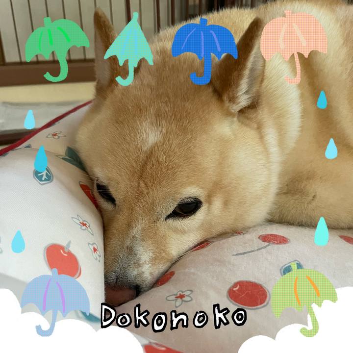 72ec418f 259a 4d8b 945c 1e03e69d24da 1718513716924