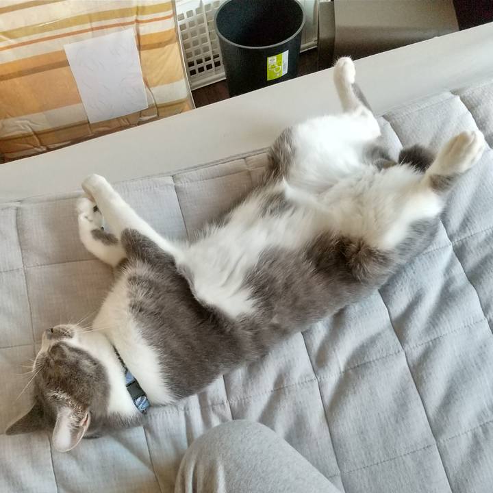 72ec435f 4a4c 48f7 a1cc b766b36476d5 1598310501739