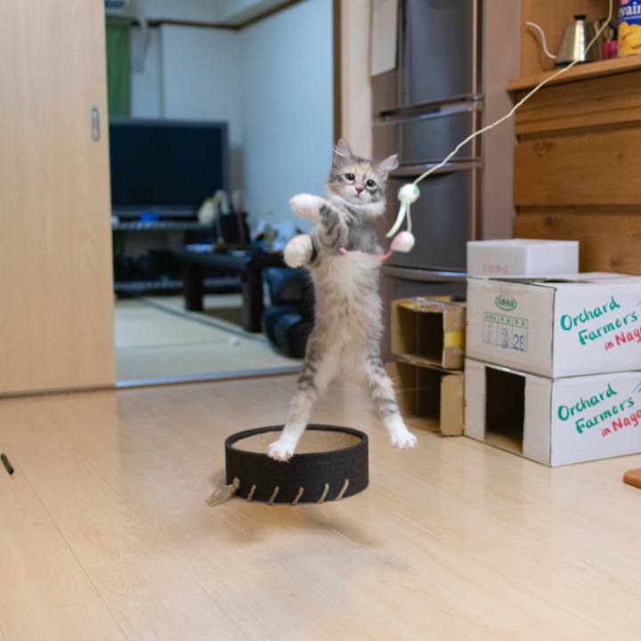 72ec767a d29f 4078 b253 b9aabdaa92a3 1537448052709