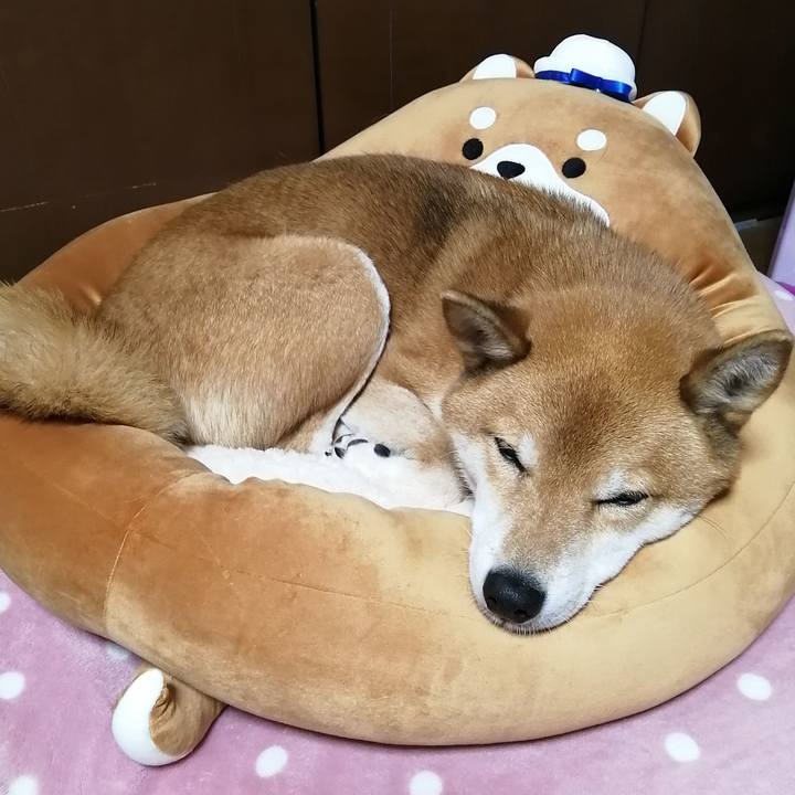 72eca70b b0ce 49a0 8bc4 185df3dcbdd8 1607854785790