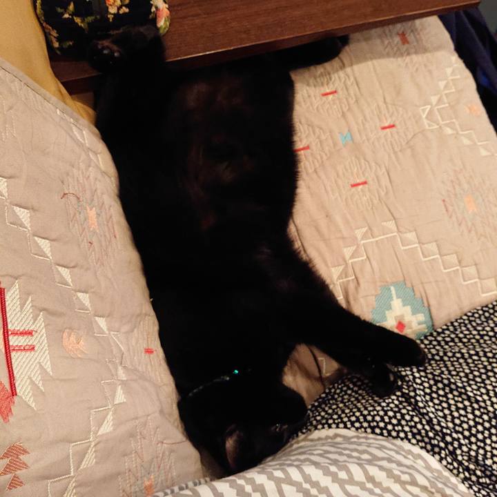 72ecc5be 2a2c 4997 973a a5d8c40e1d13 1537269929008