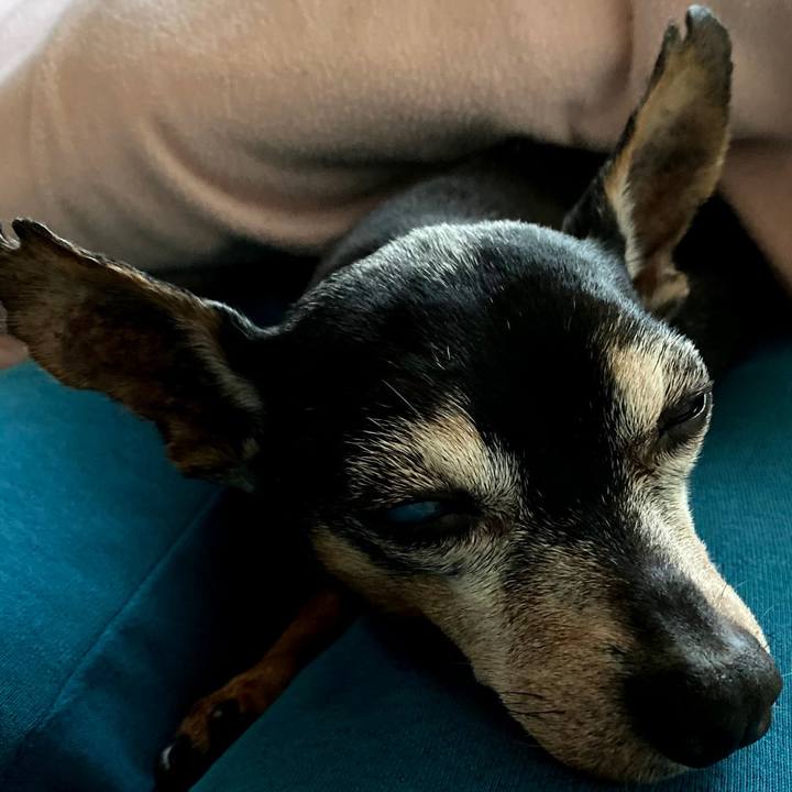 72ecc862 693e 4ff9 a52d 87c249e9a7f3 1609765061183