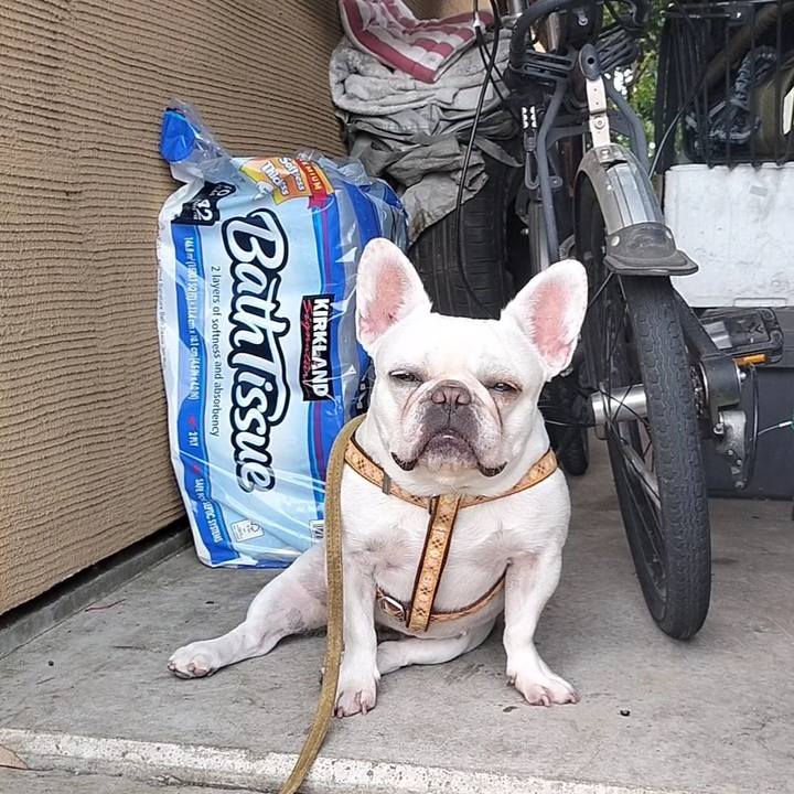 72ecf781 b2ba 427f b449 e1e0092362d9 1687650357742