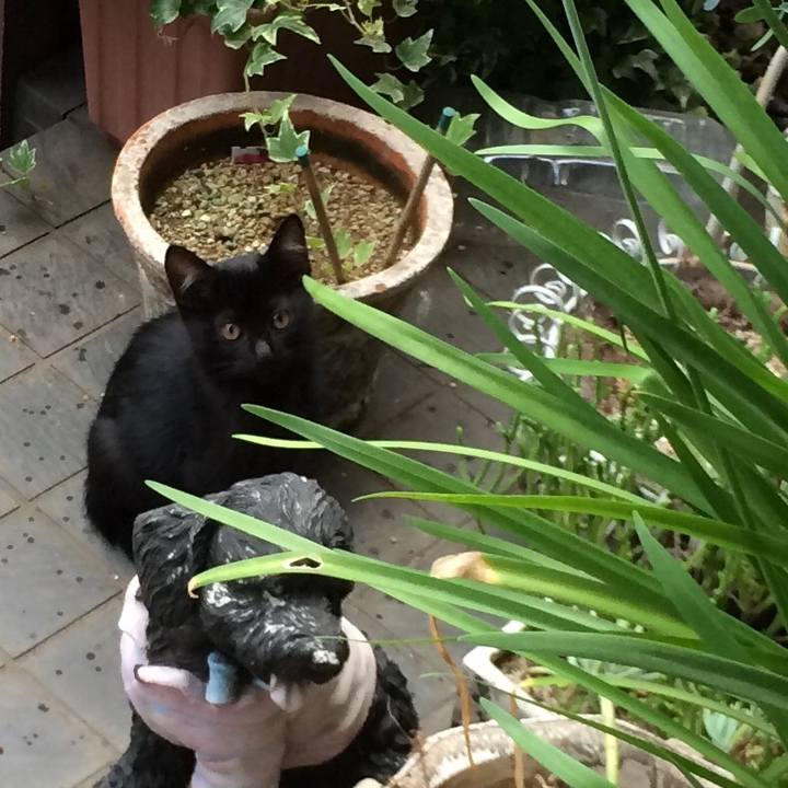 72ecffa5 4727 4419 8240 75690e499a93 1566805538788