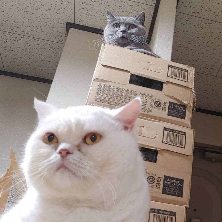 72ed00e2 94cf 4125 ac91 3af7e7bf2a48 1760436269603