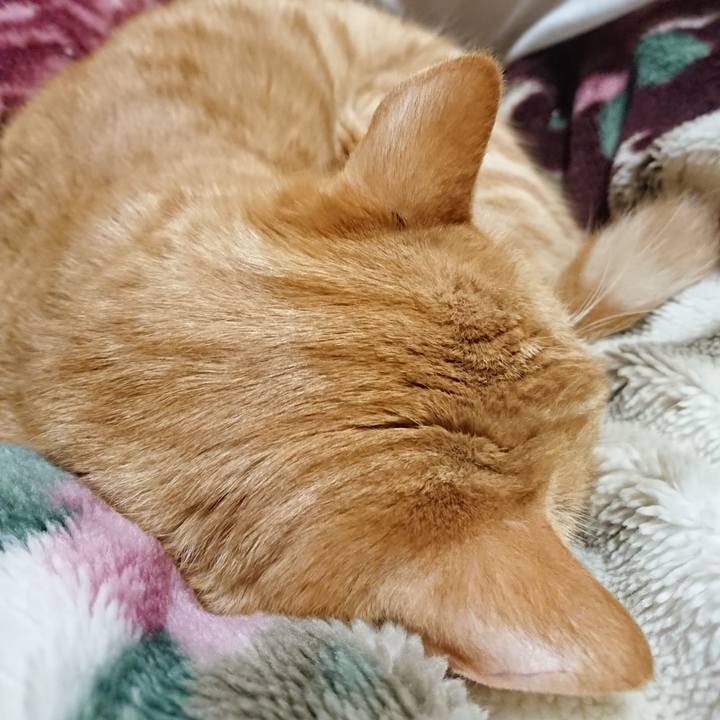 72ed2896 4af4 4255 882e 035cae056697 1644325370366