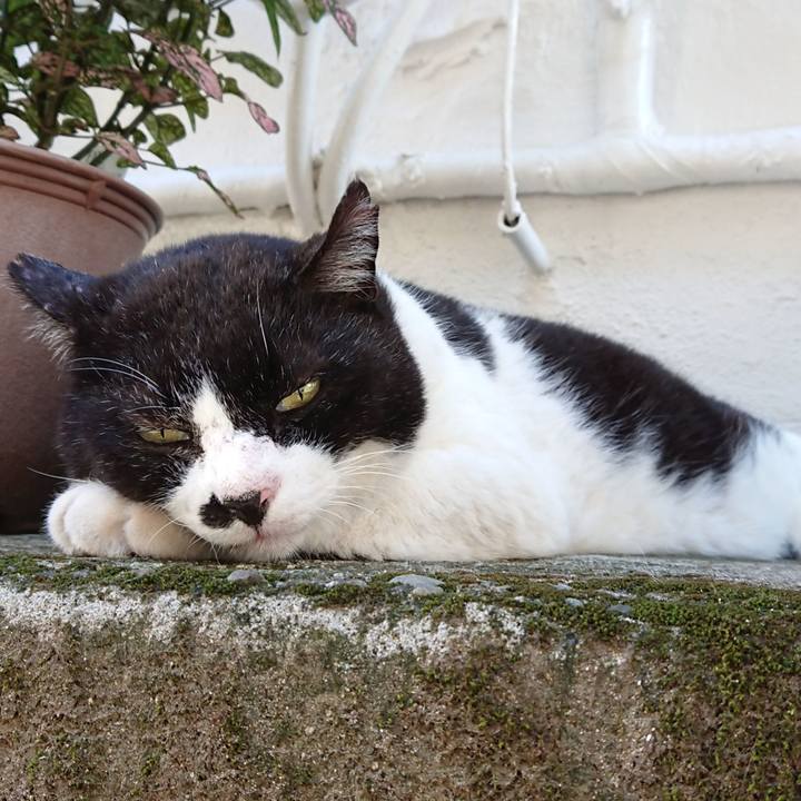 72ed82e4 6d5b 4b61 83f1 2709c56b96e9 1627716782561