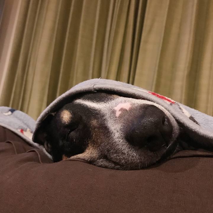 72ed9a0c c78a 4974 9248 e5a2fd860e61 1511101294615