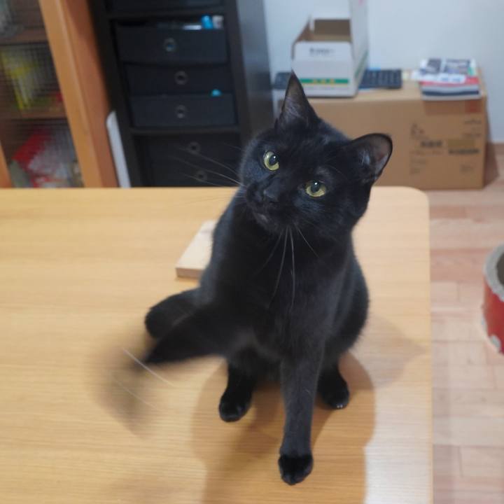 72ee0de6 f3c2 4f74 a6c1 87b1c8984d13 1584534238188