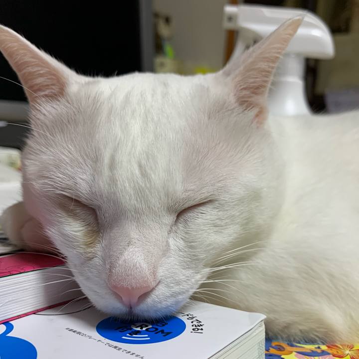 72ee17ba d3ac 44f3 b504 3d5f0462fe9d 1627559339940