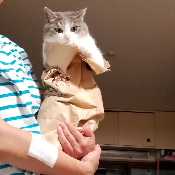 72ee25ea 236b 48a4 8576 d27eb32d505c 1627053189060