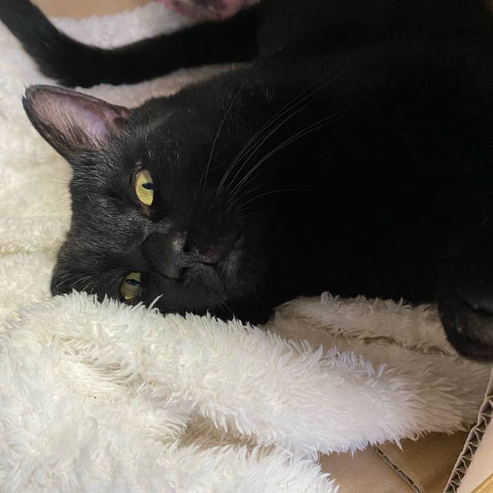 72ee2a89 4ba1 4b61 a086 06703db306c9 1632307436878