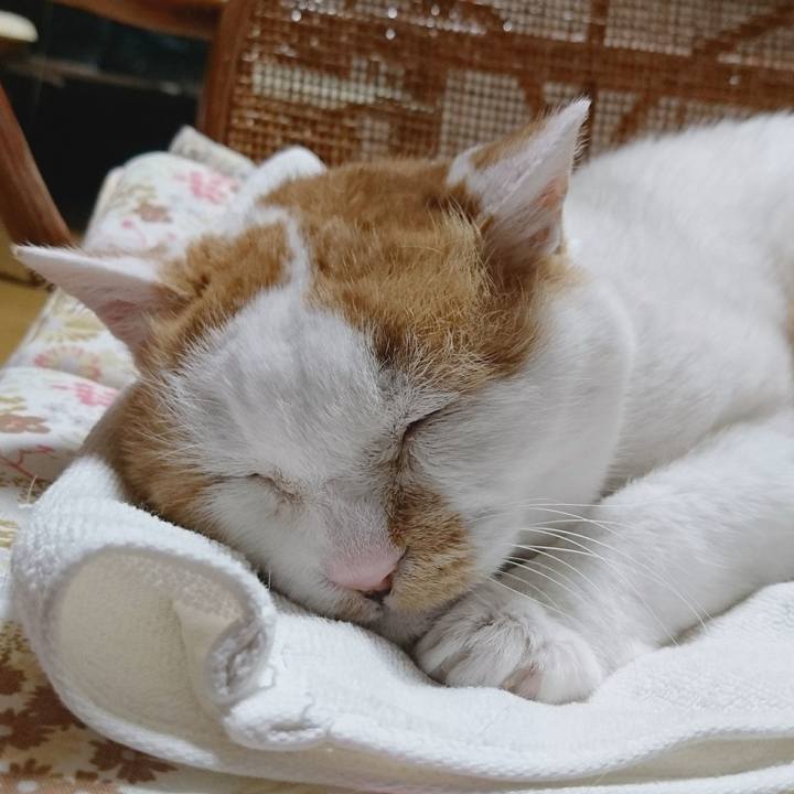 72ee62ca 9e93 4cb3 a5eb 70f38821402c 1669381419723